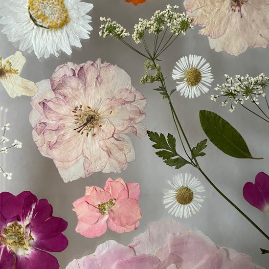 Wo Farbe ist, ist Leben