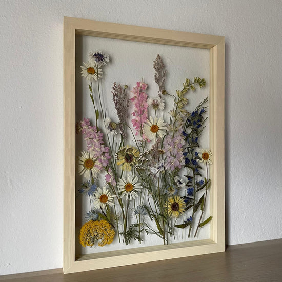 Das Geheimnis der blauen Hortensie